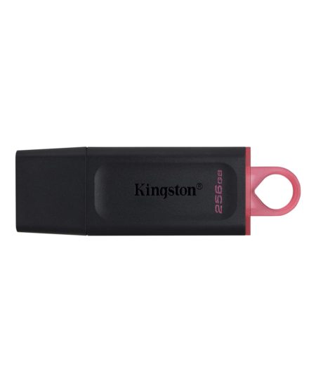 Kingston DTX256GB Black